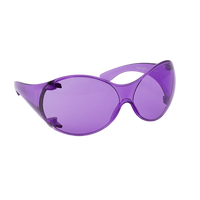 Viking 1973 - Purple - Theflyshades