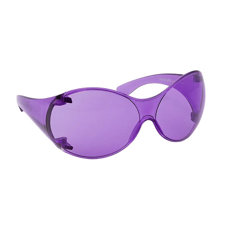 Viking 1973 - Purple - Theflyshades